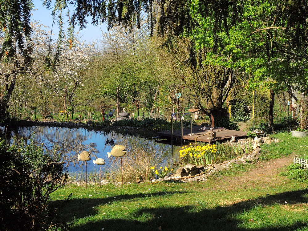 Teich im Frühjahr