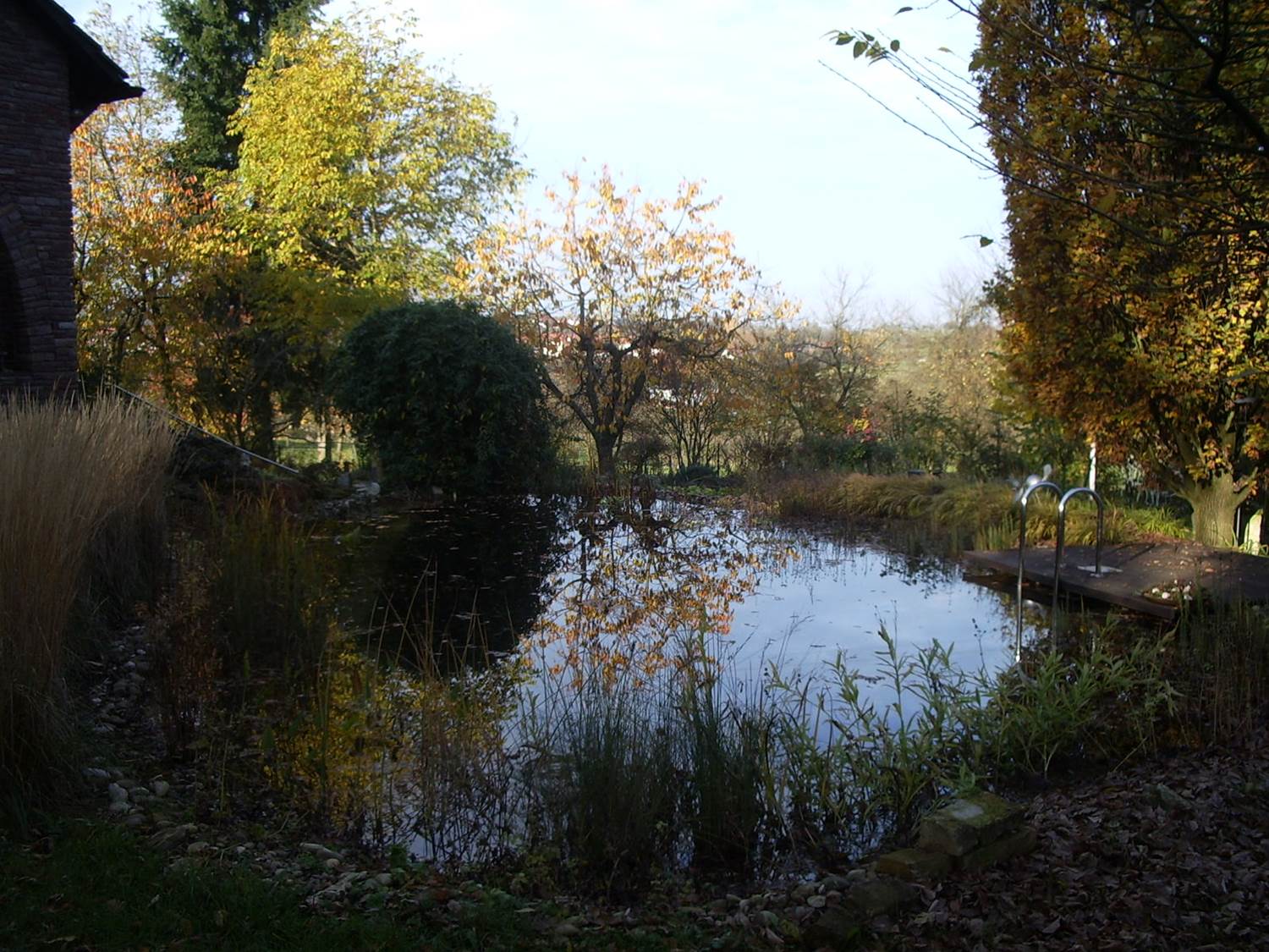 Teich im Herbst